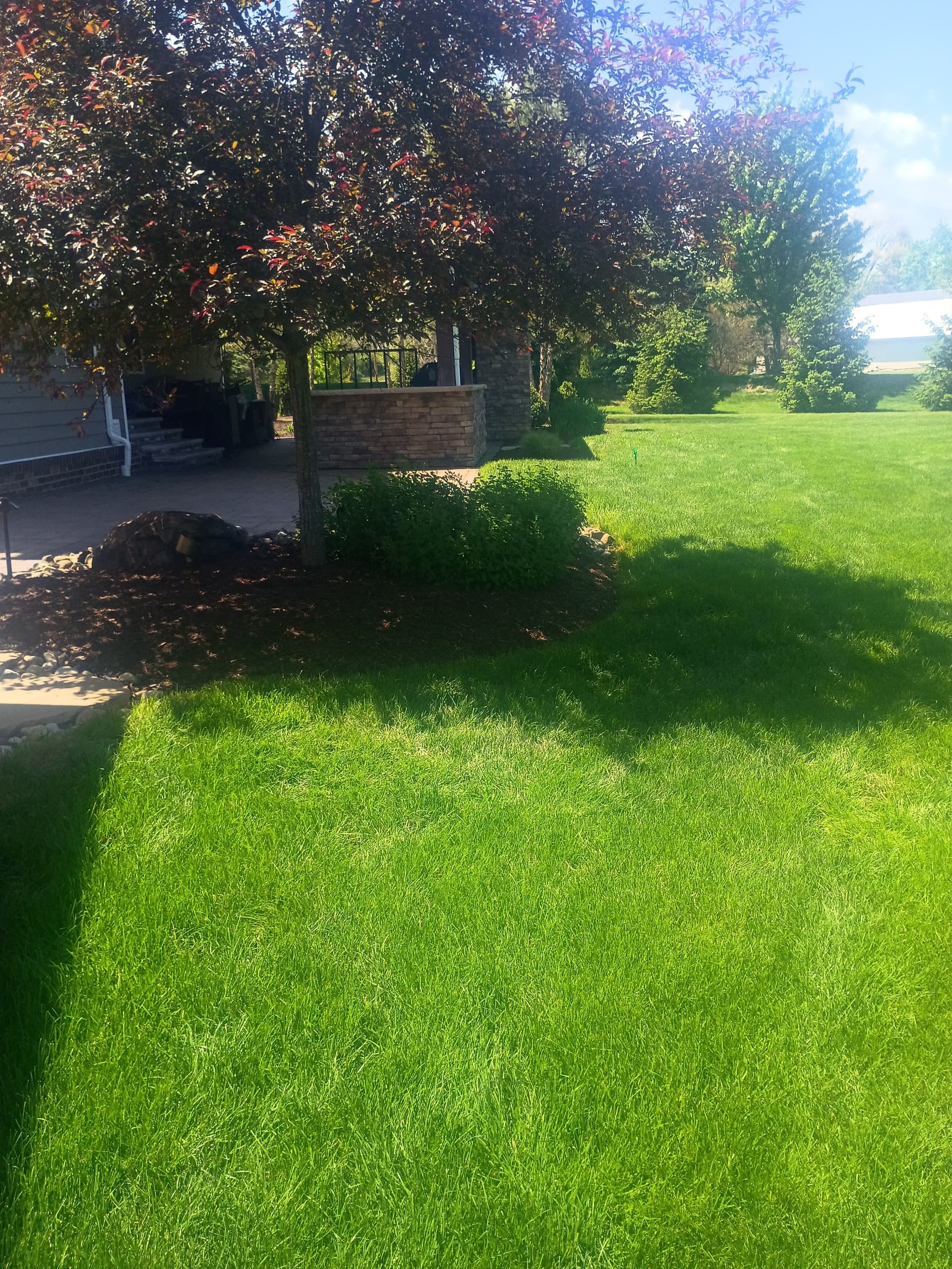 Gallery photos for Norway Spruce Replacement and Bed Cleanup in Western Pennsylvania: Image #3