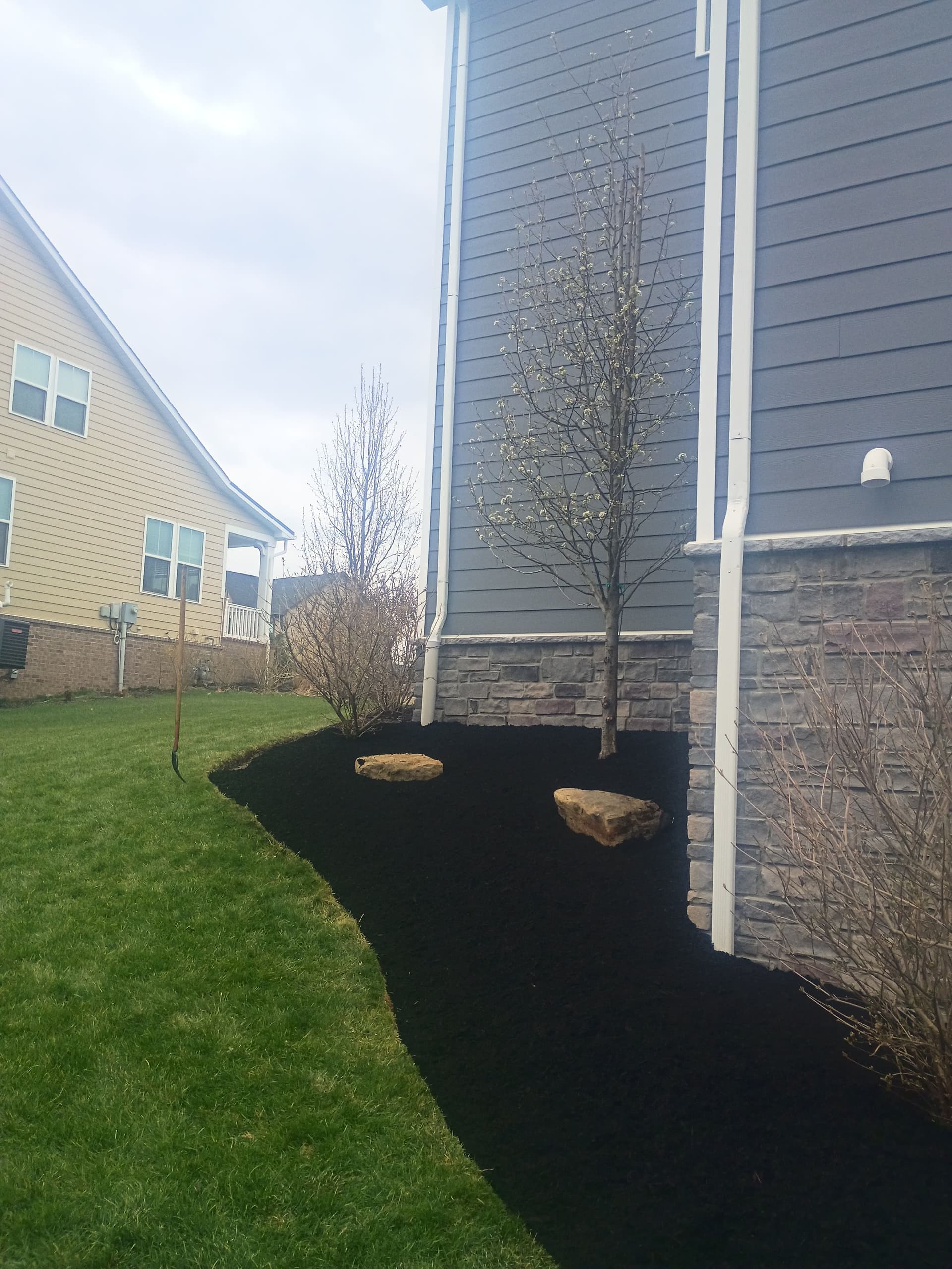Gallery photos for Black Mulch Landscaping That Makes Your Whole Yard Pop: Image #1