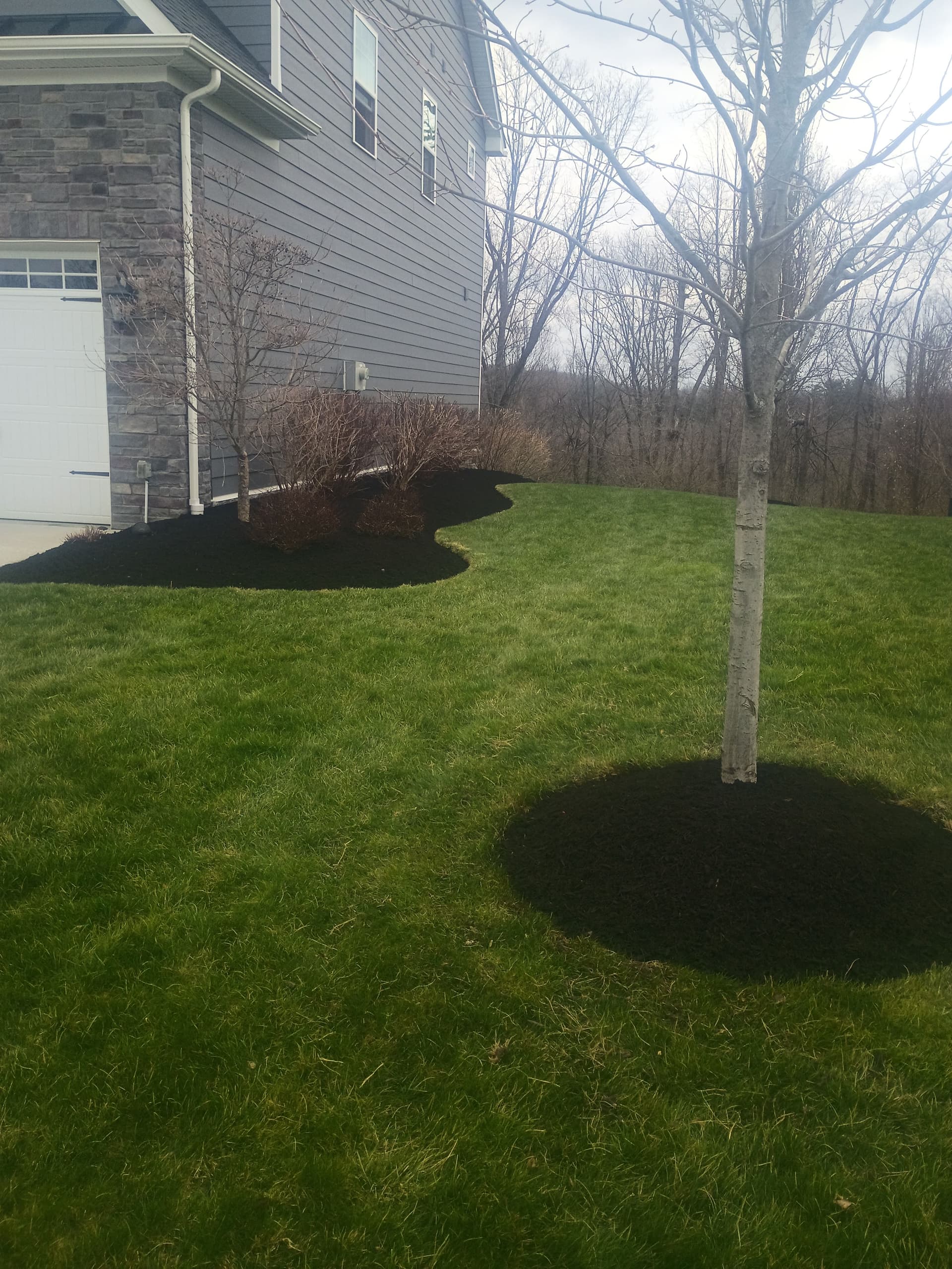 Gallery photos for Black Mulch Landscaping That Makes Your Whole Yard Pop: Image #3