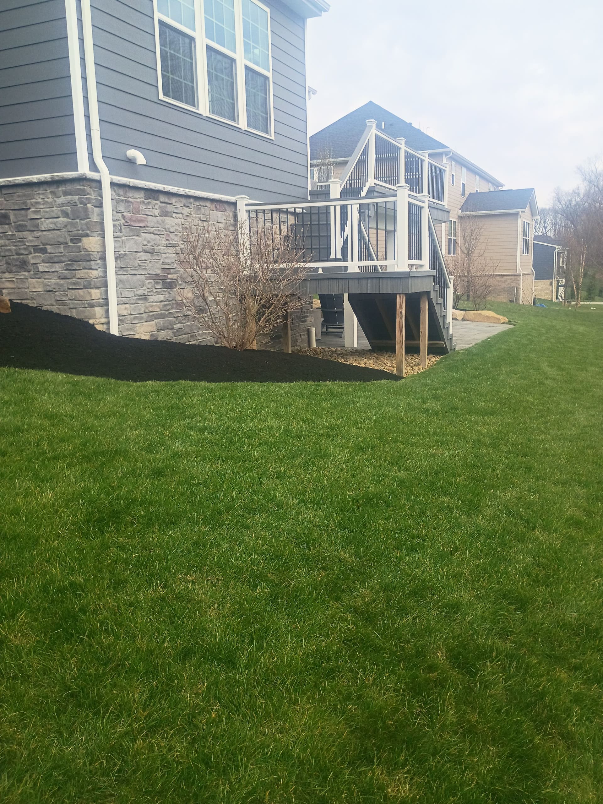 Gallery photos for Black Mulch Landscaping That Makes Your Whole Yard Pop: Image #8