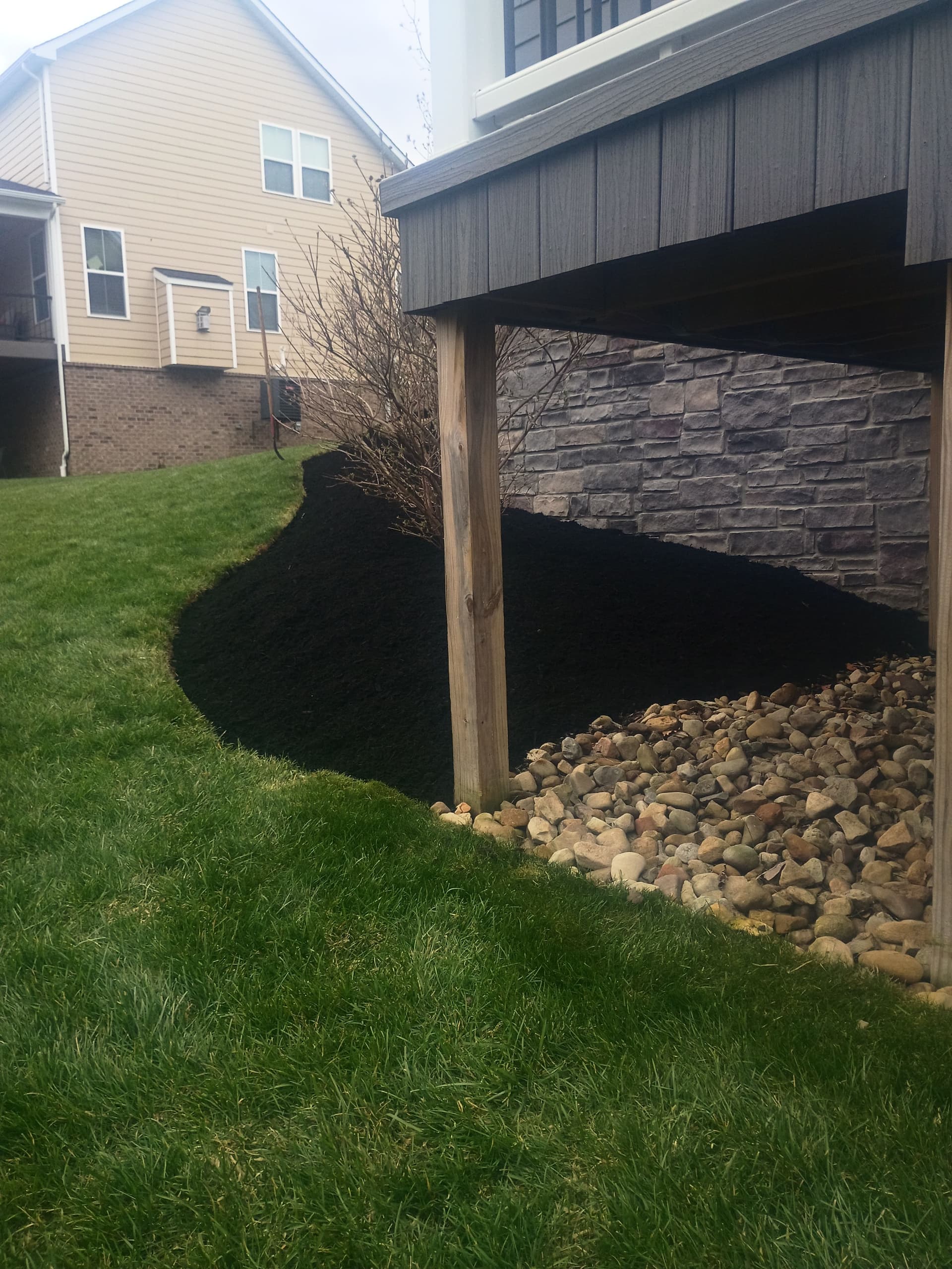 Black Mulch Landscaping That Makes Your Whole Yard Pop image