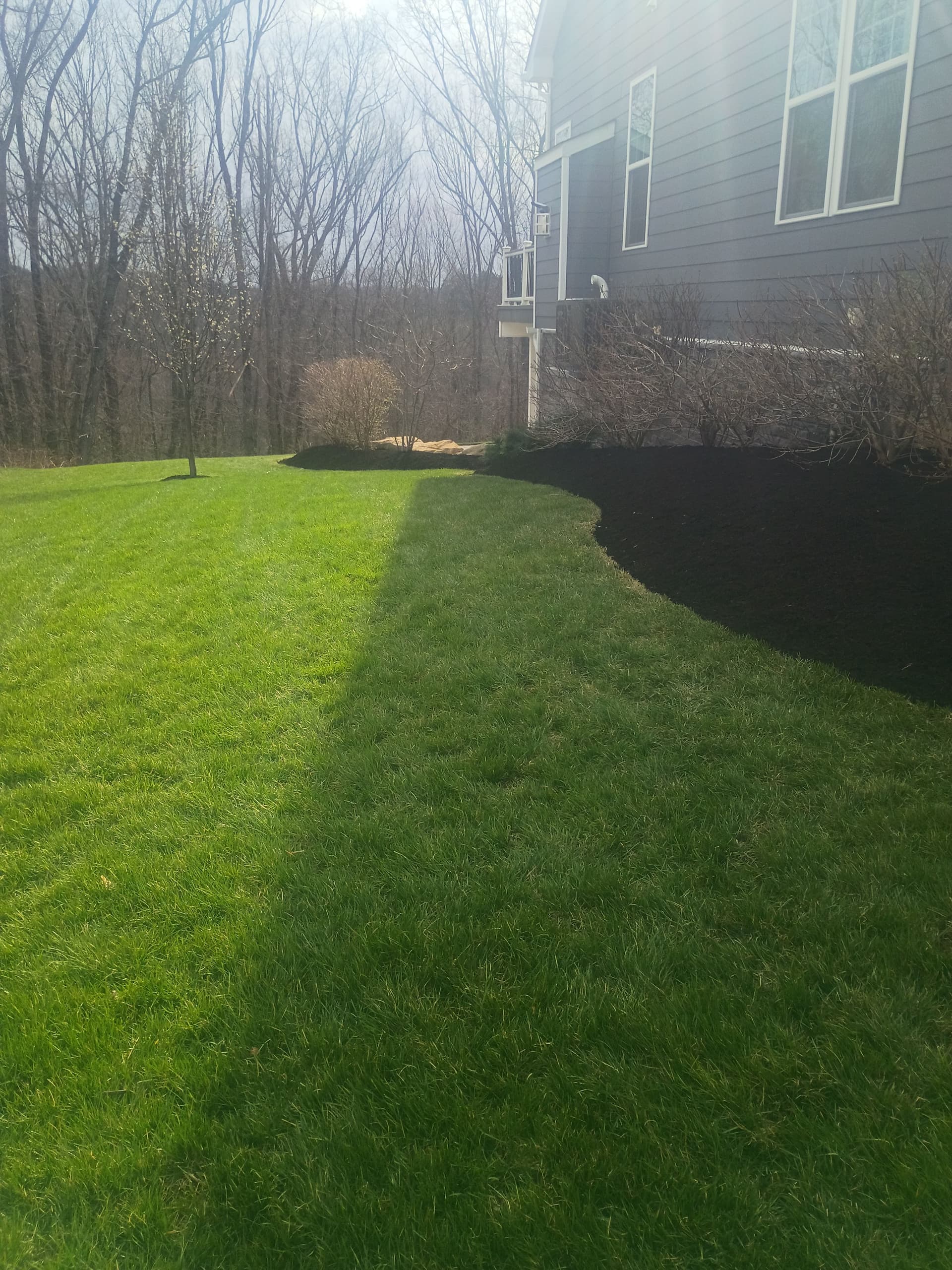 Gallery photos for Black Mulch Landscaping That Makes Your Whole Yard Pop: Image #6