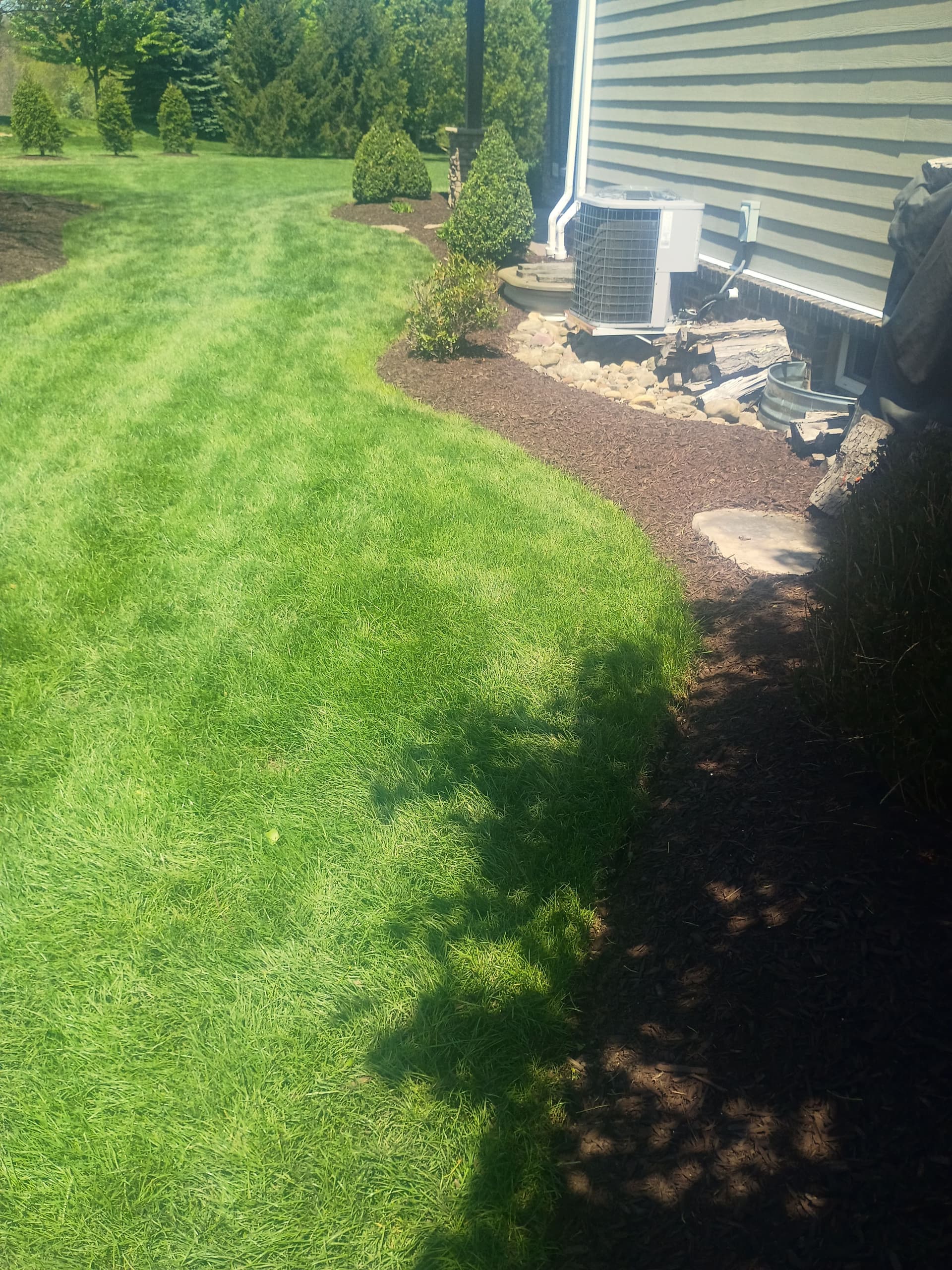 Gallery photos for Norway Spruce Replacement and Bed Cleanup in Western Pennsylvania: Image #7