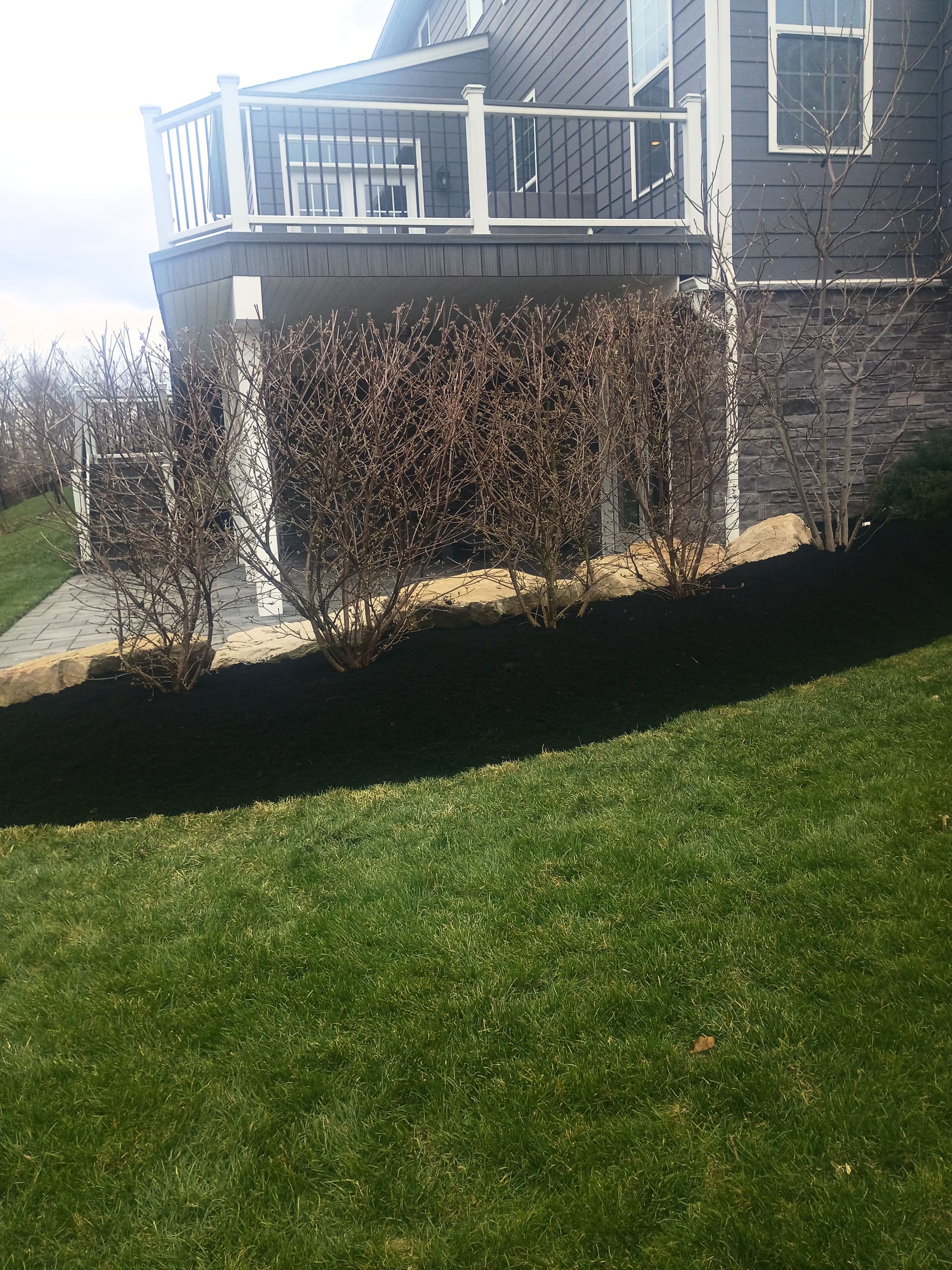 Gallery photos for Black Mulch Landscaping That Makes Your Whole Yard Pop: Image #2